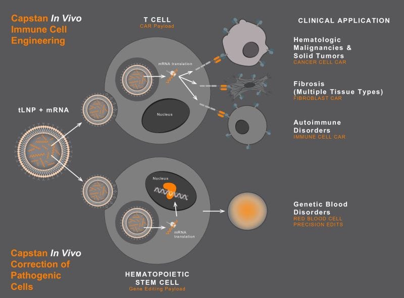 AbbVie Acquires Capstan for $2.1B: A Game-Changer in Immunology – Last ...